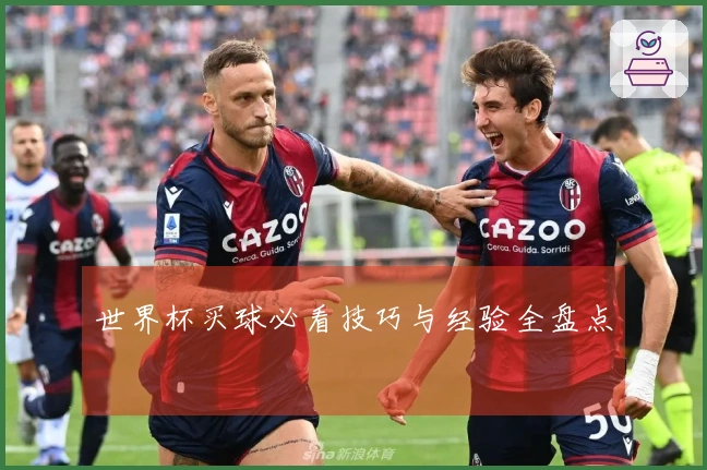 世界杯买球必看技巧与经验全盘点