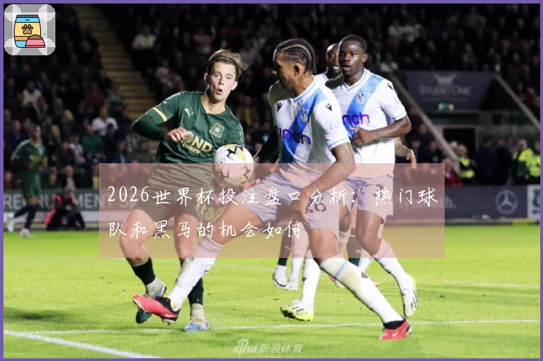 2026世界杯投注盘口分析：热门球队和黑马的机会如何