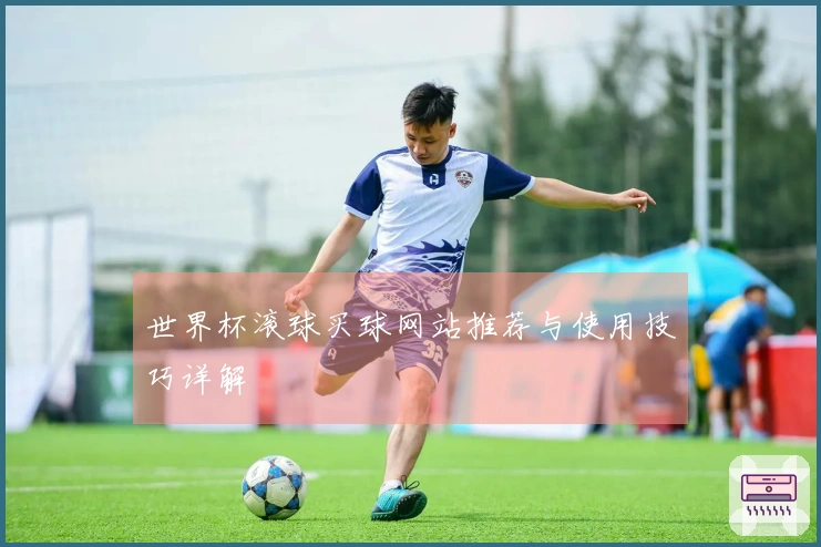 世界杯滚球买球网站推荐与使用技巧详解