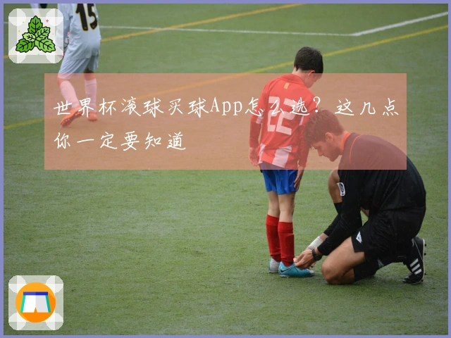 世界杯滚球买球App怎么选？这几点你一定要知道