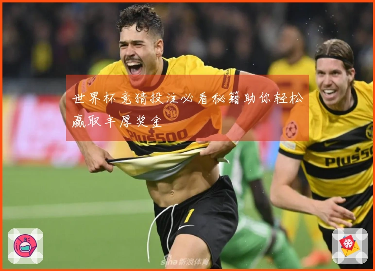 世界杯竞猜投注必看秘籍助你轻松赢取丰厚奖金