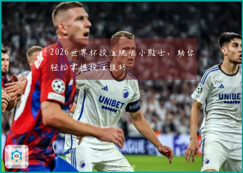 2026世界杯投注玩法小贴士，助你轻松掌握投注技巧