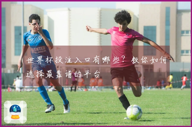 世界杯投注入口有哪些？教你如何选择最靠谱的平台