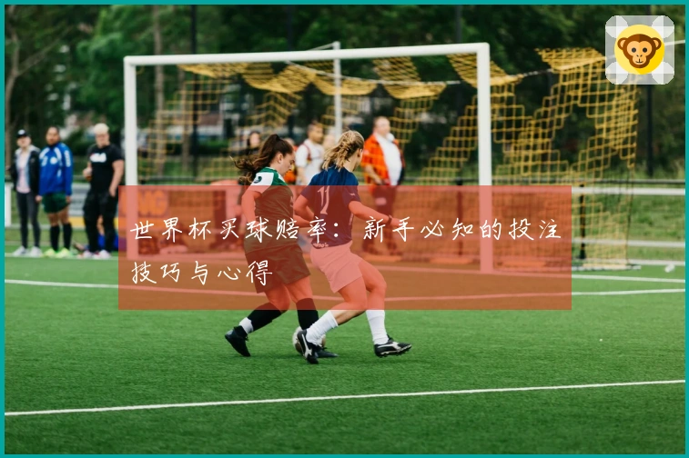 世界杯买球赔率：新手必知的投注技巧与心得
