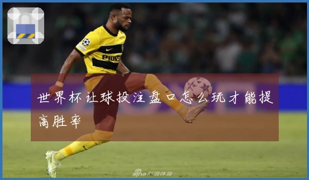 世界杯让球投注盘口怎么玩才能提高胜率