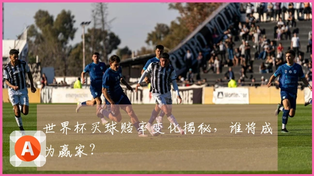 世界杯买球赔率变化揭秘，谁将成为赢家？