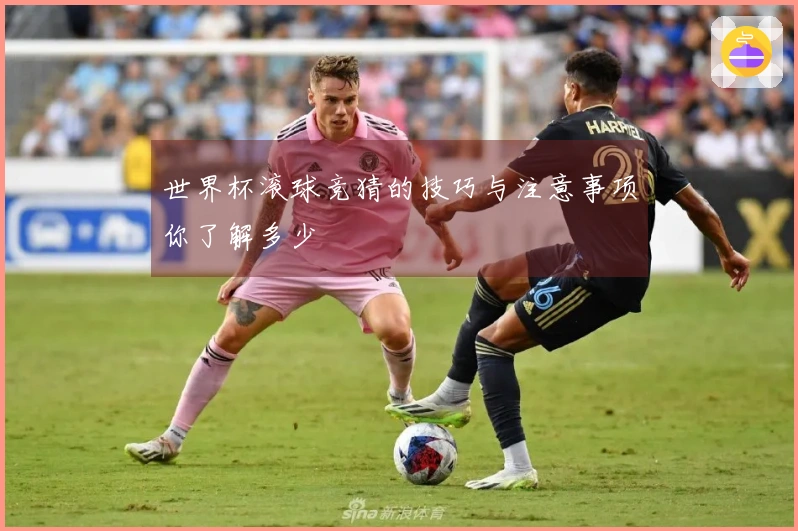 世界杯滚球竞猜的技巧与注意事项你了解多少