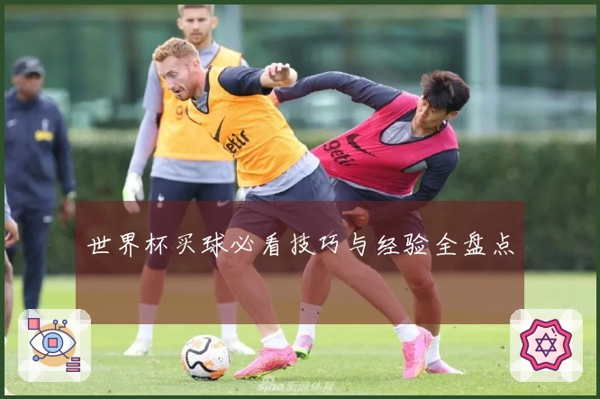 世界杯买球必看技巧与经验全盘点