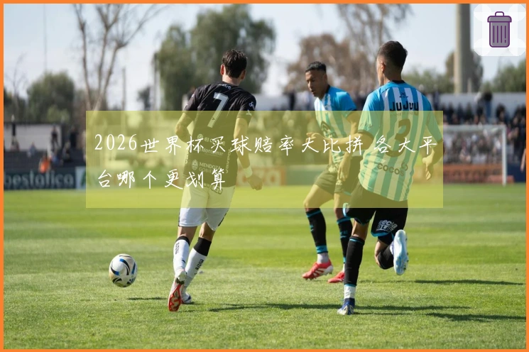 2026世界杯买球赔率大比拼 各大平台哪个更划算