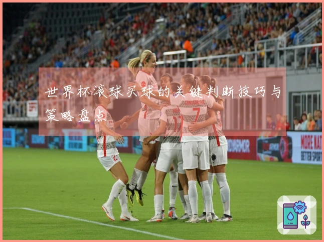 世界杯滚球买球的关键判断技巧与策略盘点