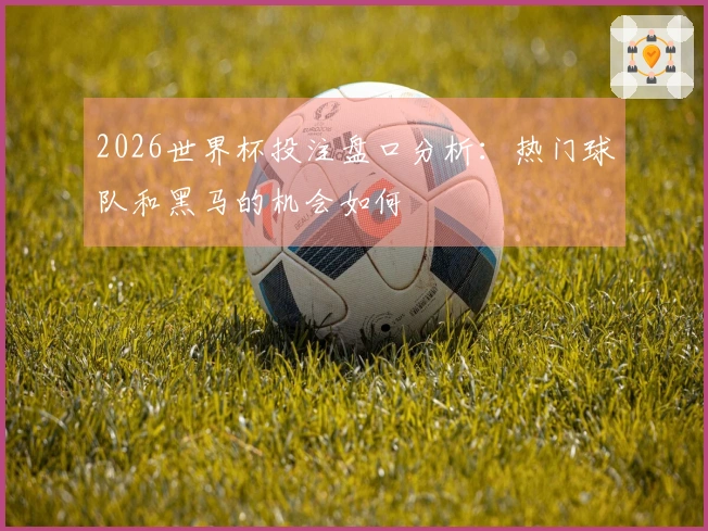 2026世界杯投注盘口分析：热门球队和黑马的机会如何