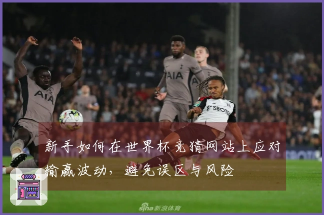 新手如何在世界杯竞猜网站上应对输赢波动，避免误区与风险